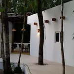 Jungle Dust Cancun