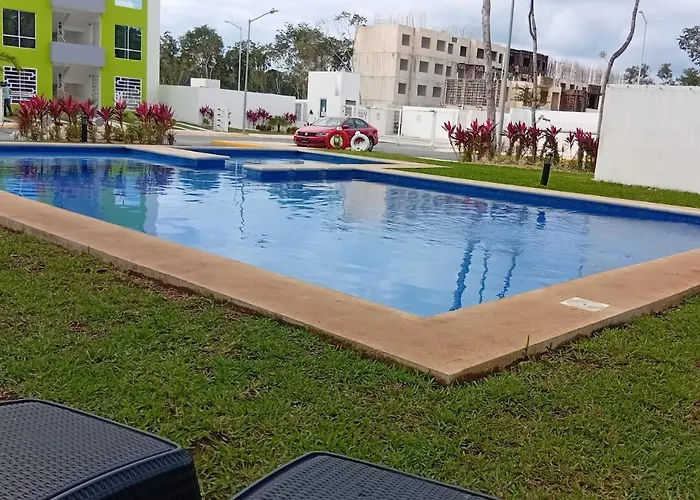 Dreams Of Arena In The Jungle Of Cancun