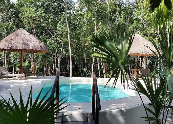 Jungle Dust Cancun