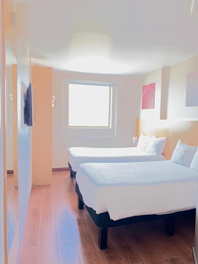 Ibis Centro
