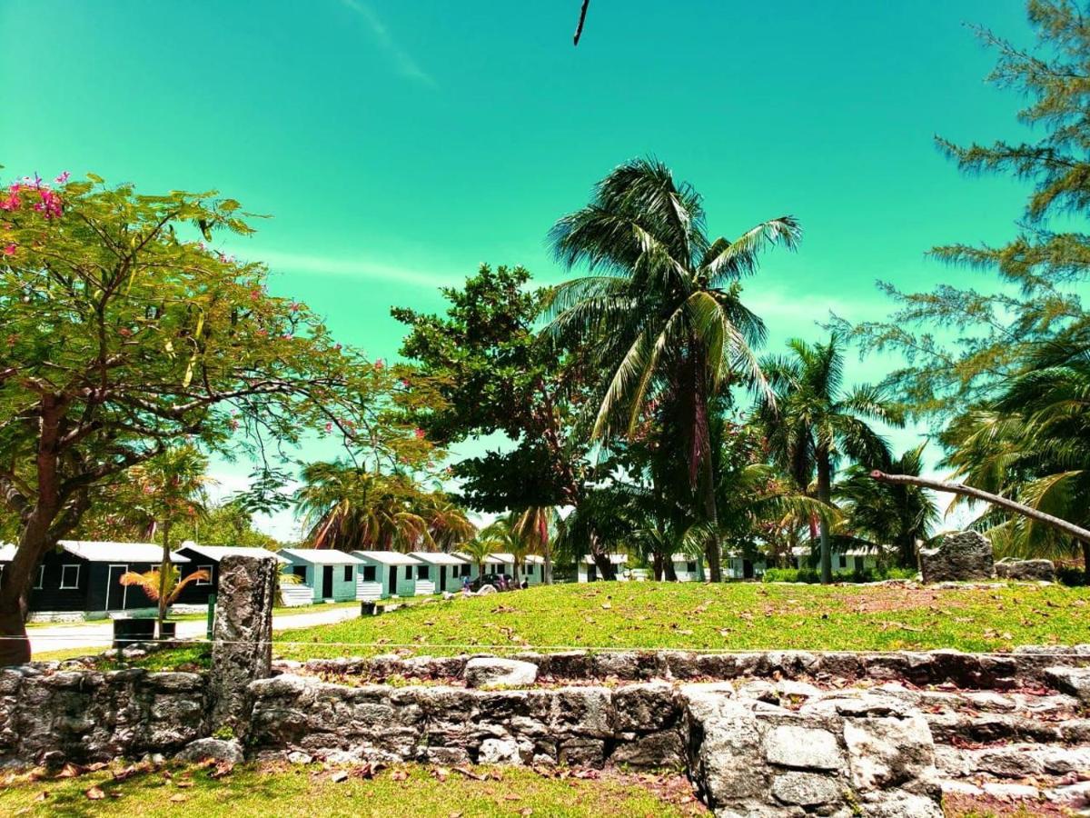 Eco-cabanas 2*