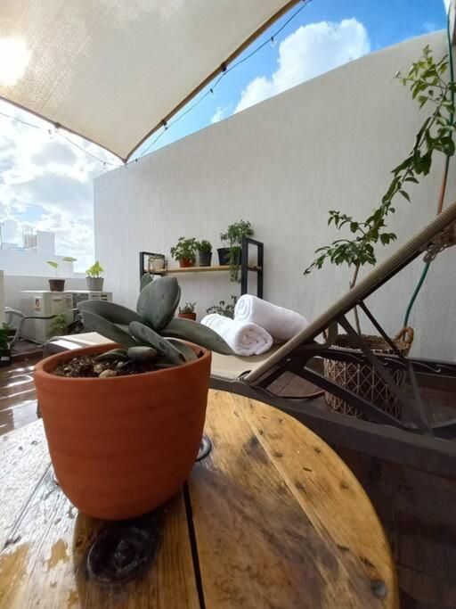 Casita Rooftop Cancun