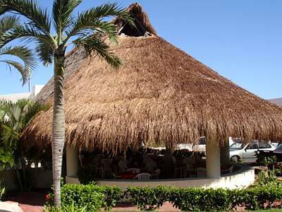 Ocean Club Hotel 3*