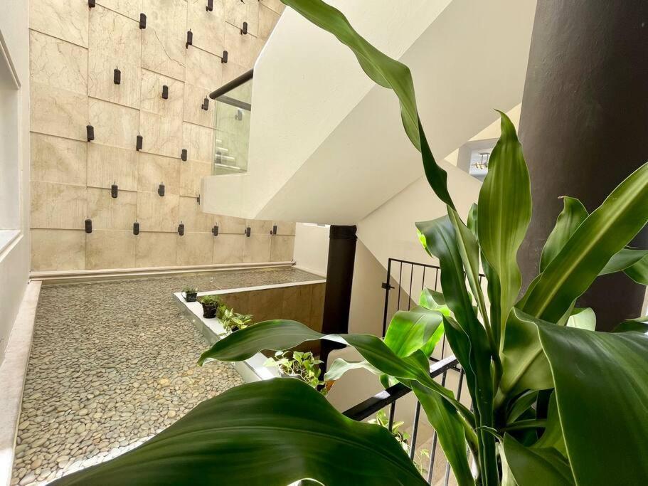 Flamingos Villa Cancun