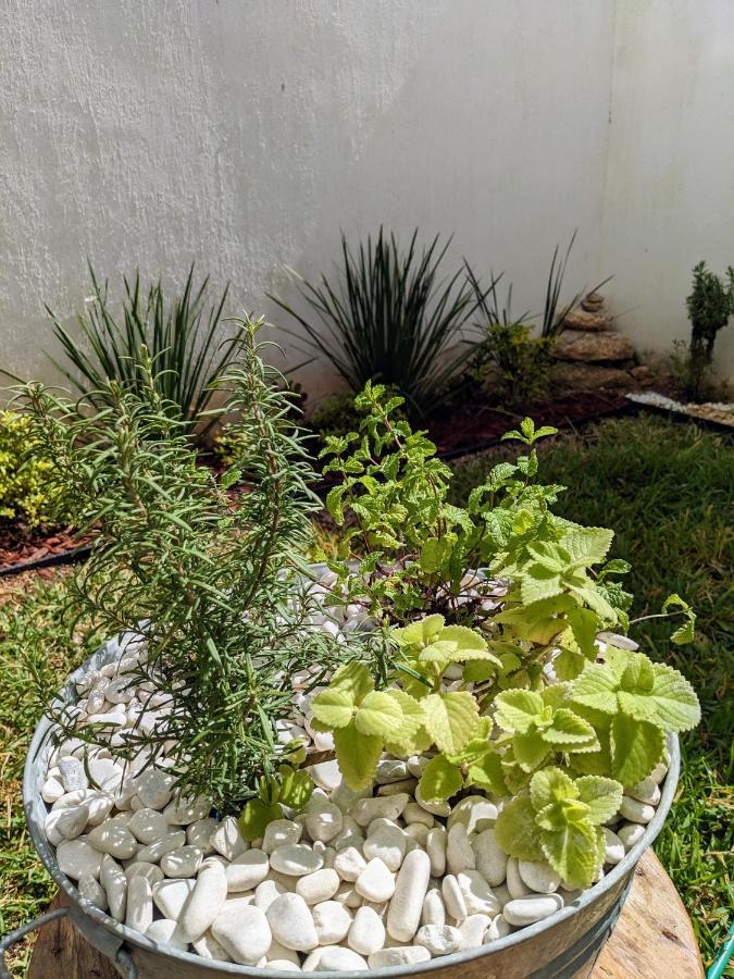 Apartment Casita Rooftop