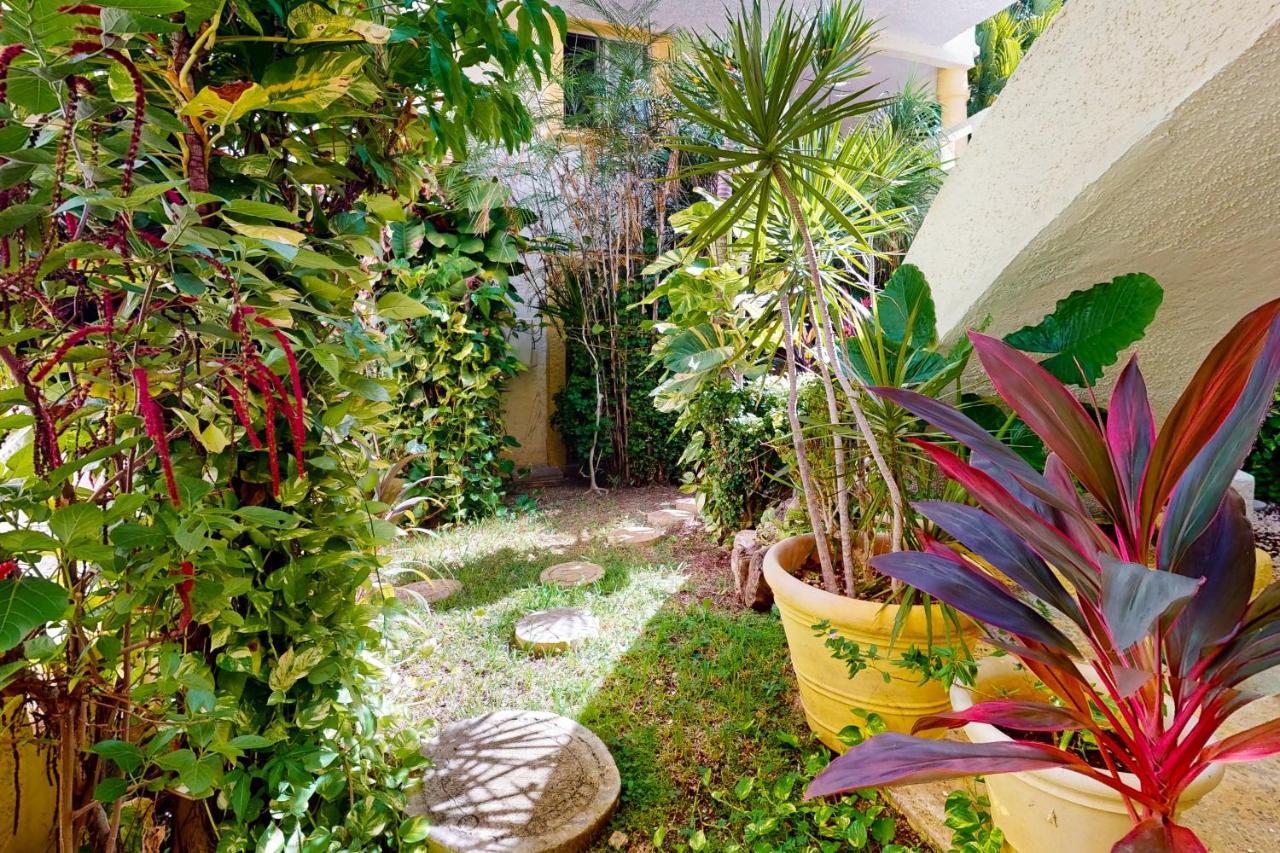 Cenzontle 23-4 Apartamento *