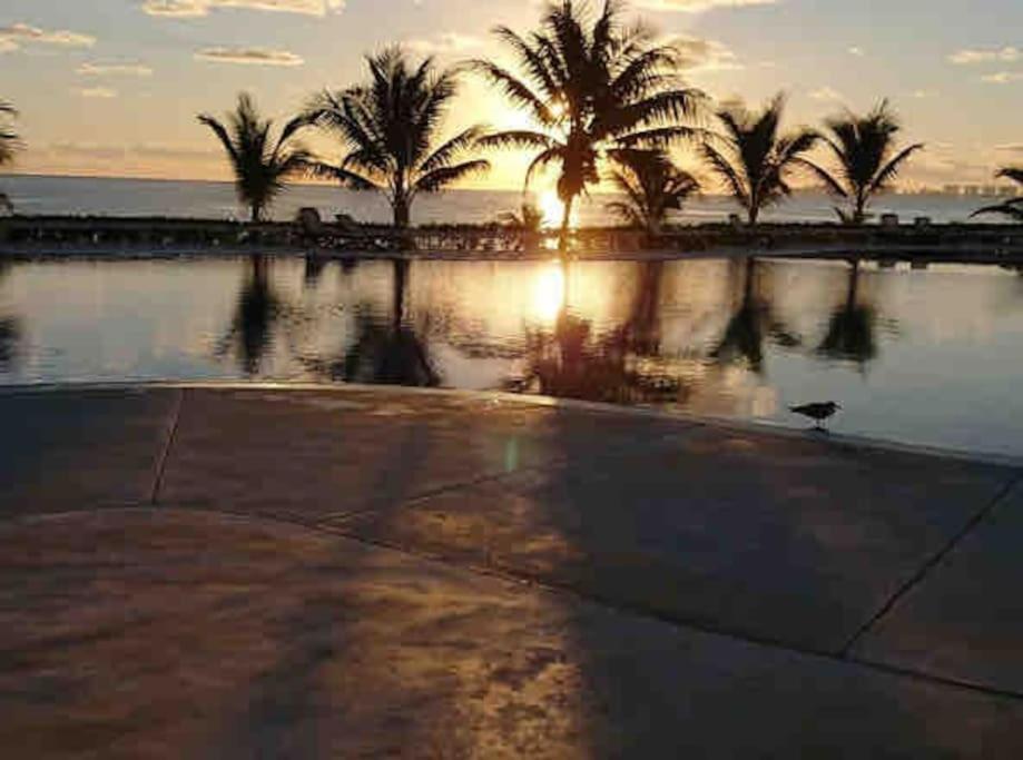 Luxury Beachfront Apartamento *