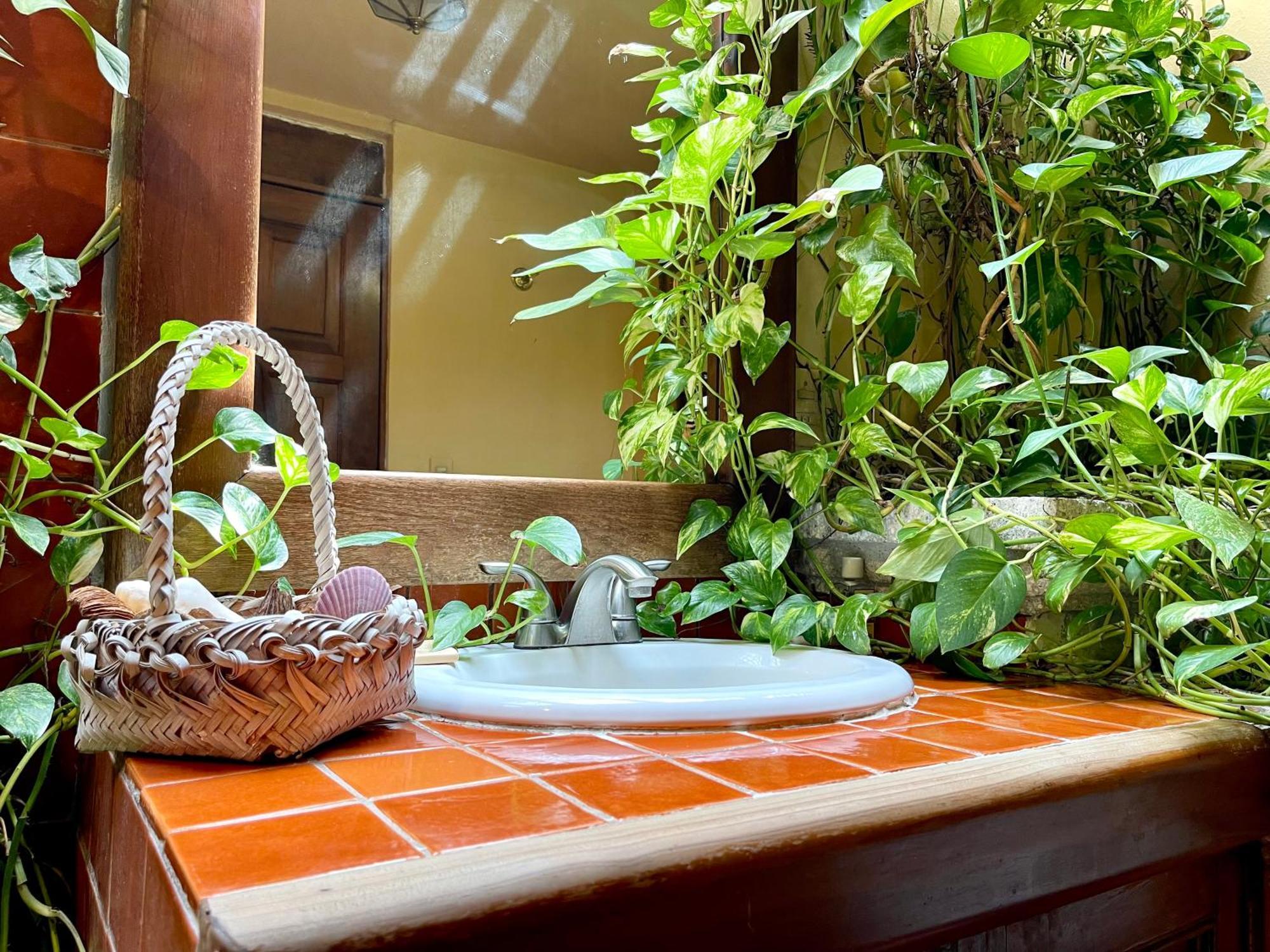 Mexican Style House In The Zone By Solmar *