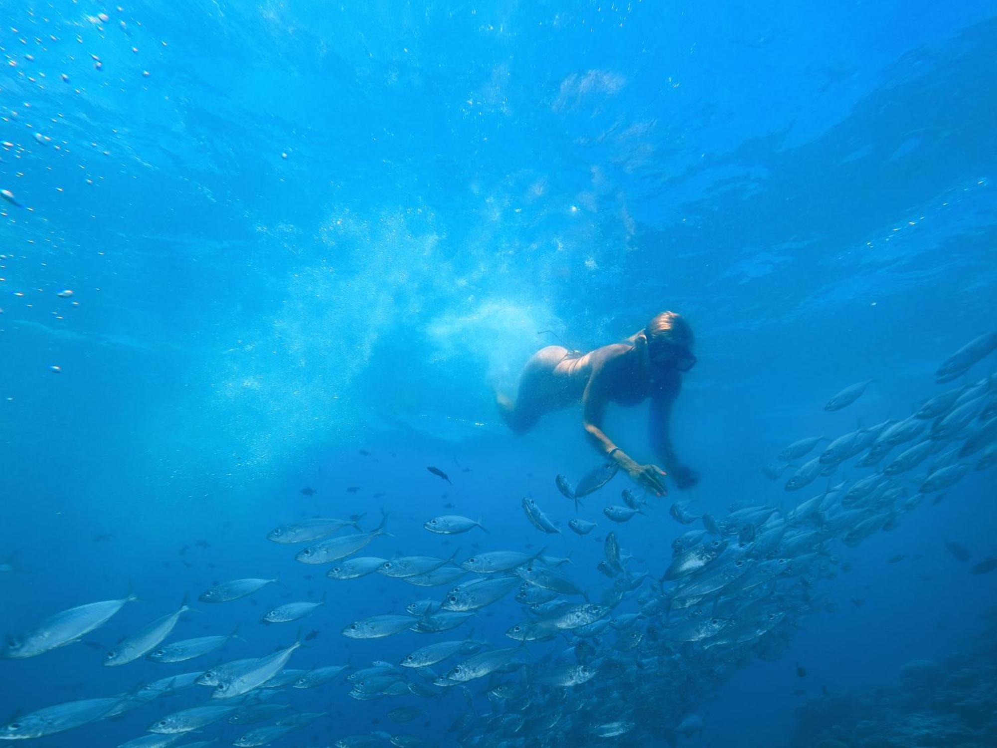 Enigmatic Experience 4* Cancun