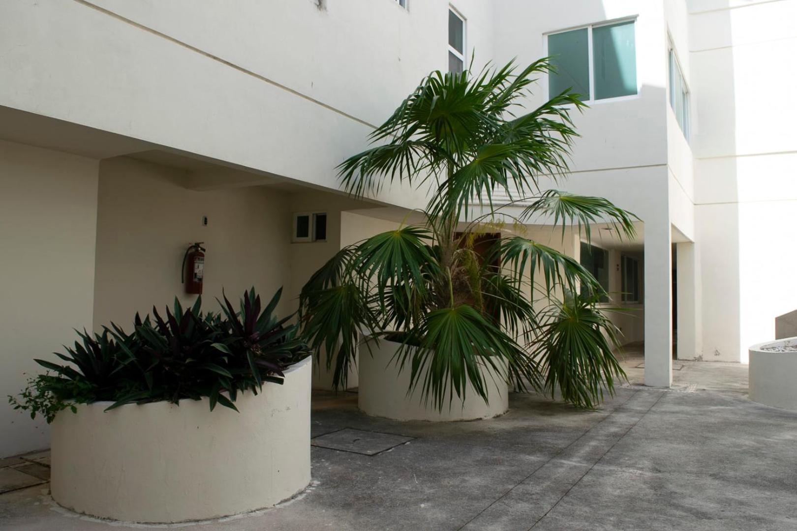 New Oasis Sunsets & Comfort Near The Beach Apartment Cancún