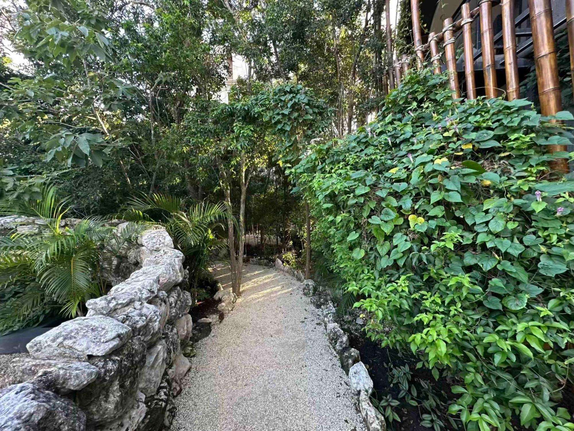 Cozy Eco Luxury Depto W Pool Cancún