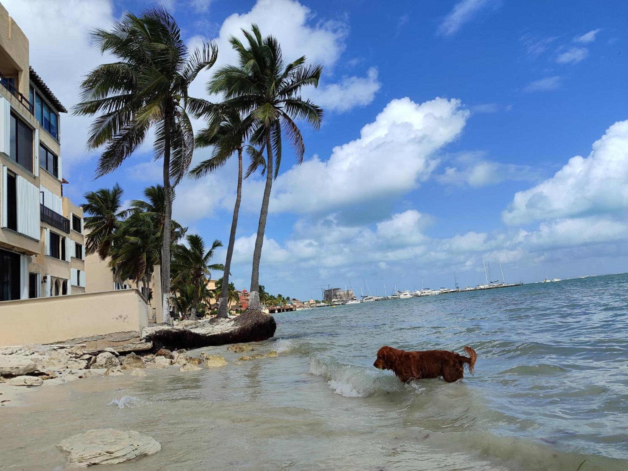 Casa Cebra By The - Playa Del Nino Holiday home Cancun