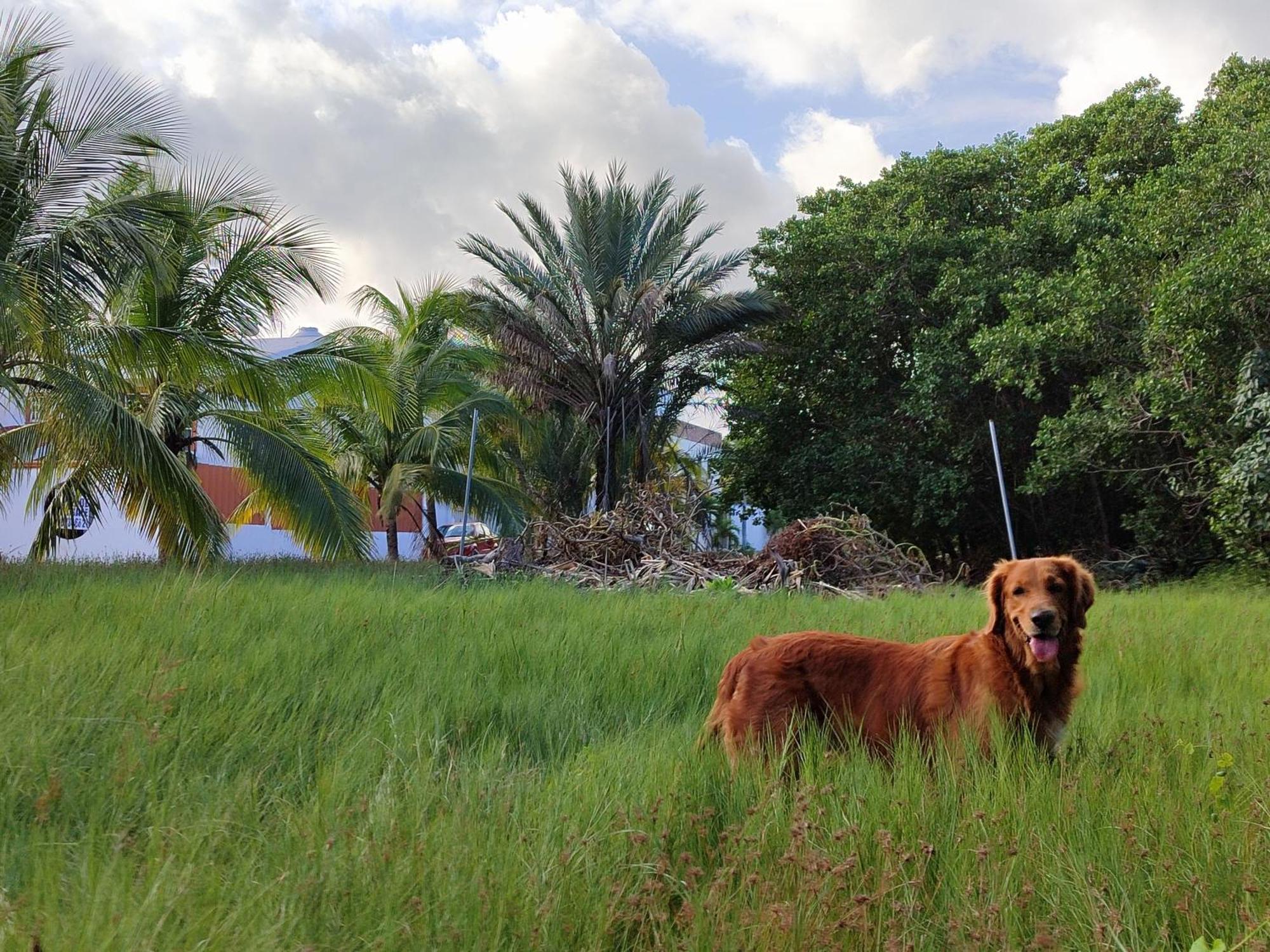 Casa Cebra By The - Playa Del Nino Holiday home *