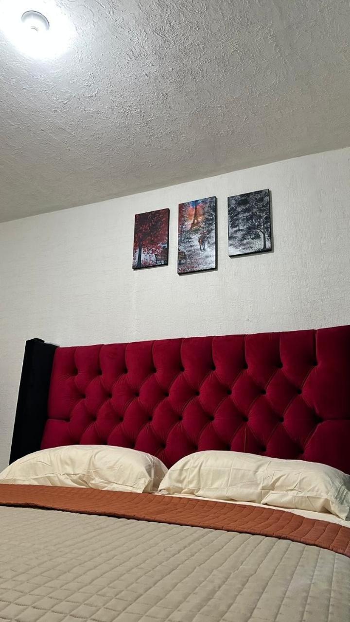 Apartment Dreams Of Arena In The Jungle Of