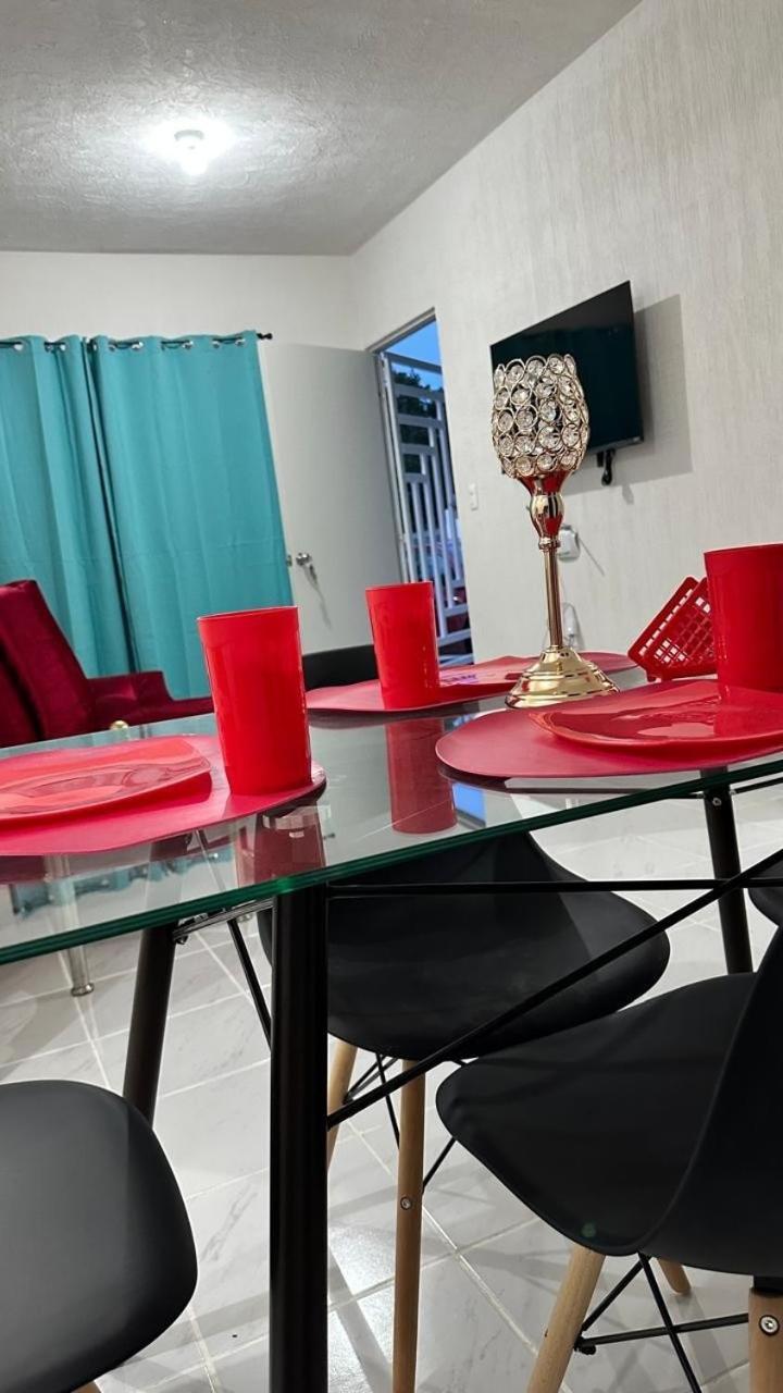 Dreams Of Arena In The Jungle Of Apartment *