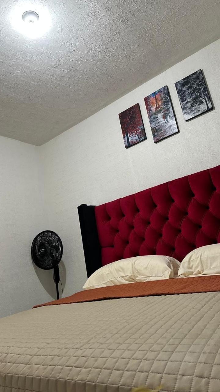 Apartment Dreams Of Arena In The Jungle Of *