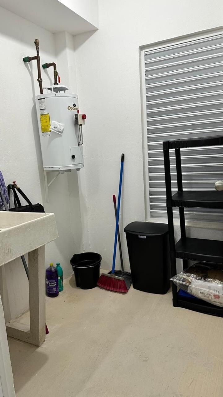Apartment Dreams Of Arena In The Jungle Of *