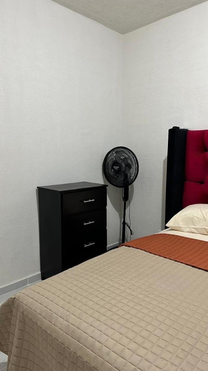 Dreams Of Arena In The Jungle Of Apartment