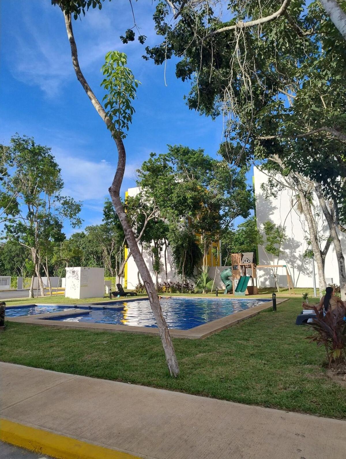 Apartment Dreams Of Arena In The Jungle Of