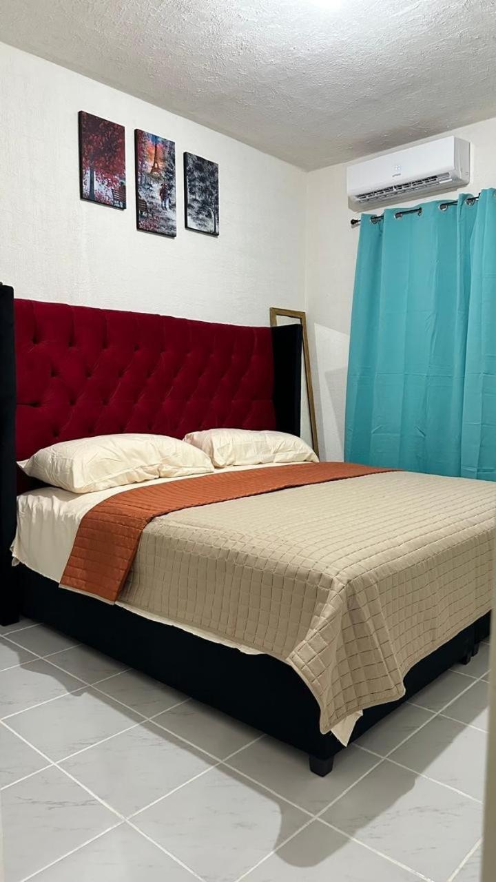 Apartment Dreams Of Arena In The Jungle Of *