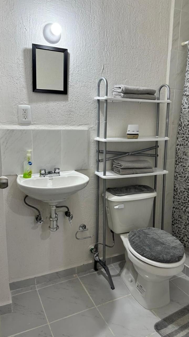 Apartment Dreams Of Arena In The Jungle Of Cancun