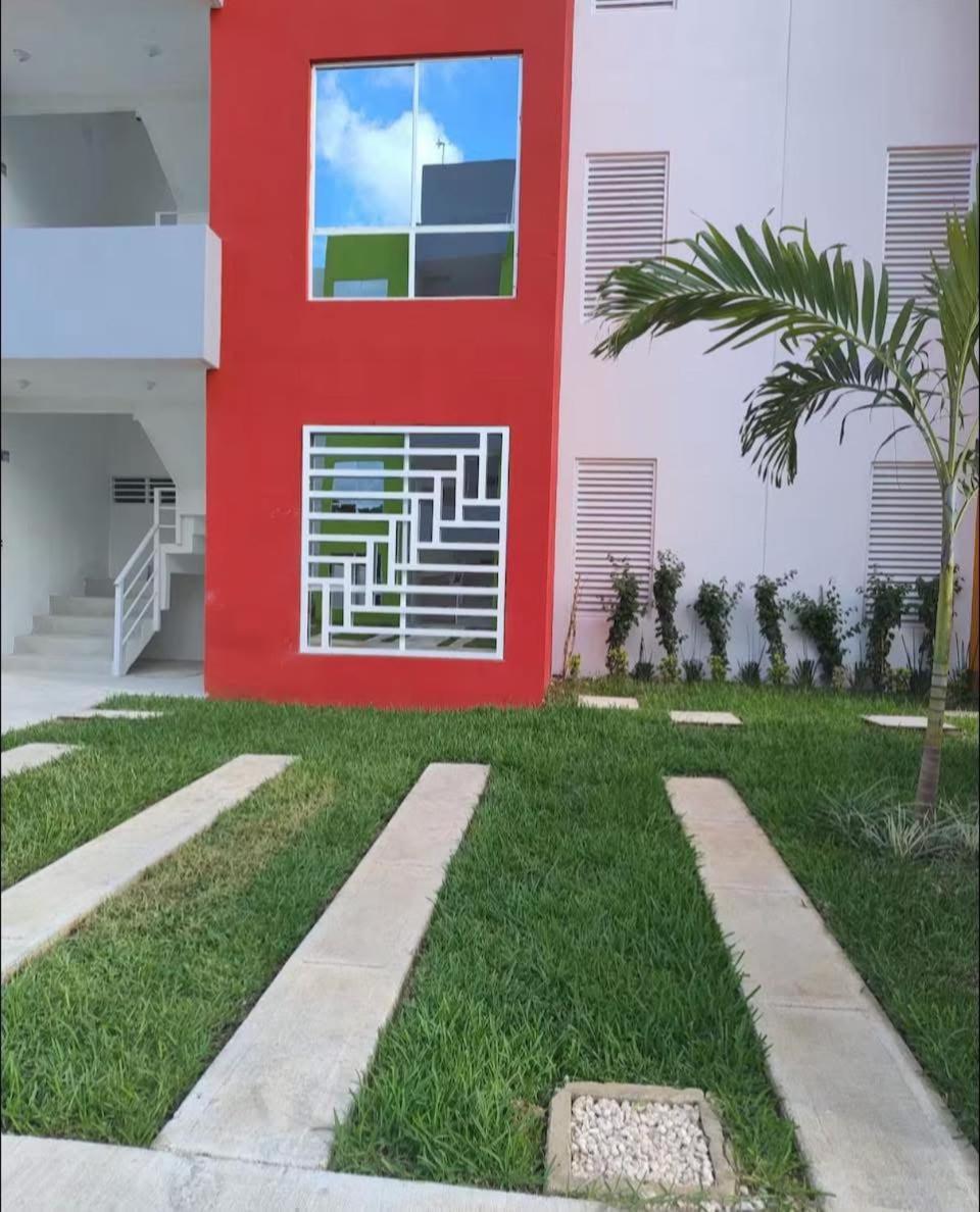 Dreams Of Arena In The Jungle Of Apartment *