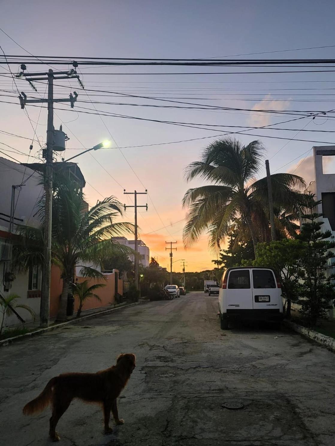 Casa Cebra By The - Playa Del Nino * Cancun