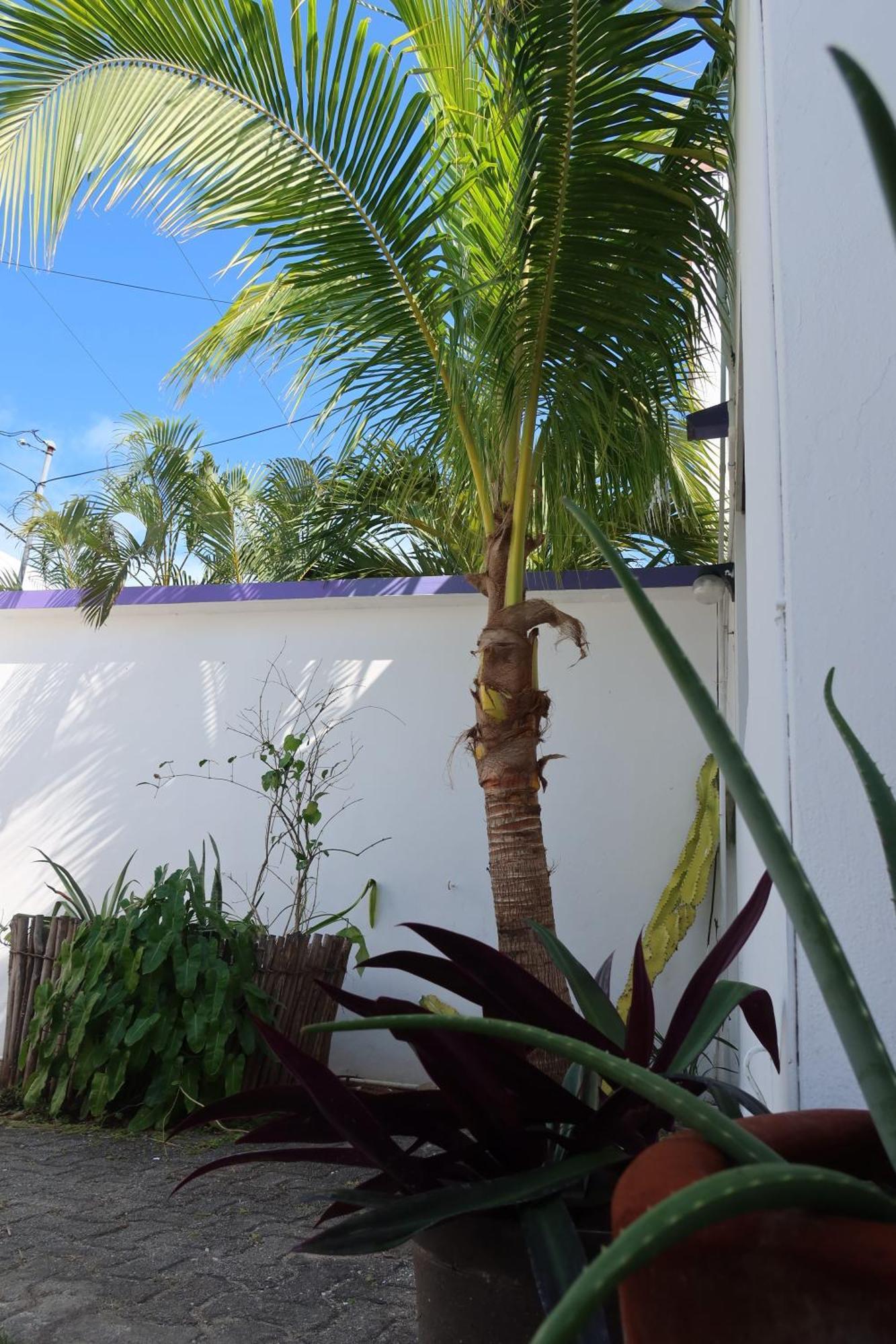 Casa Cebra By The - Playa Del Nino *