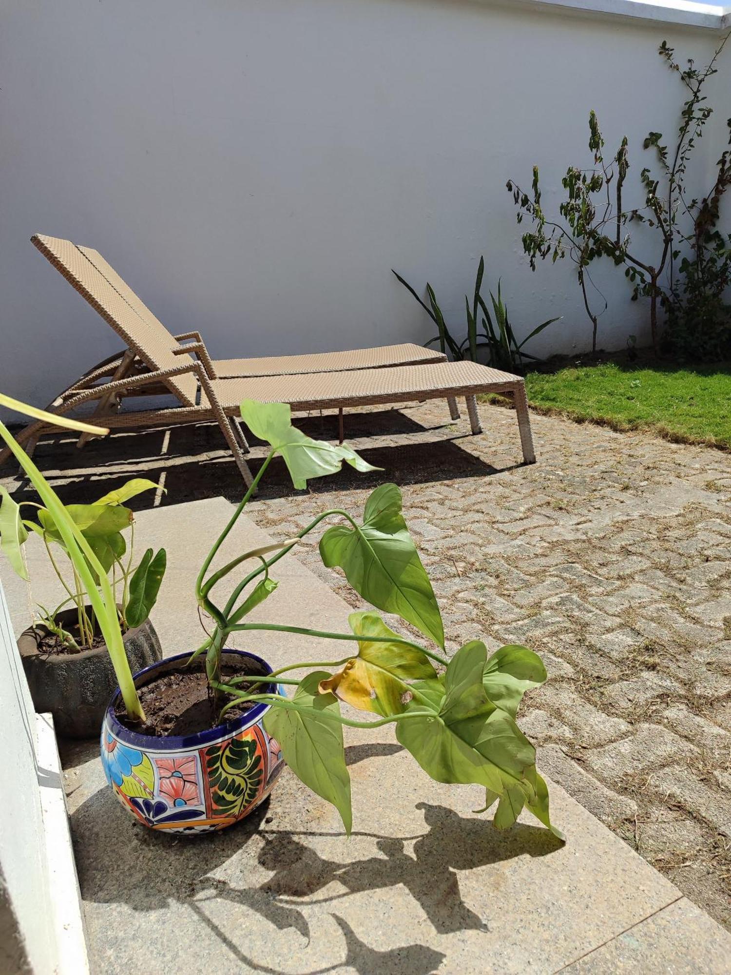 Casa Cebra By The - Playa Del Nino Cancun