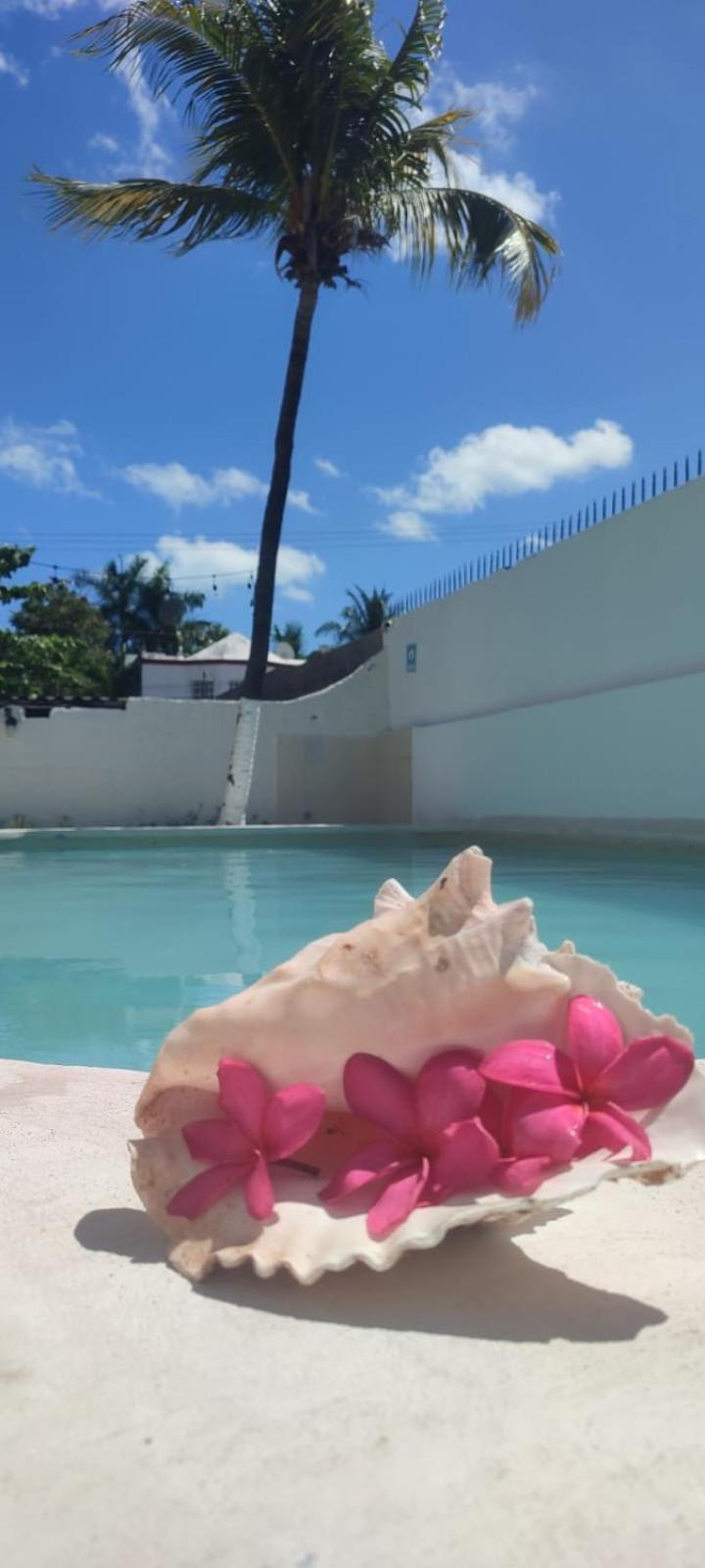 Coral 2* Cancun