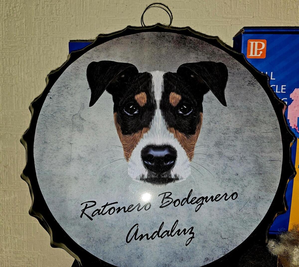 El Rincon Pet Friendly Cancun