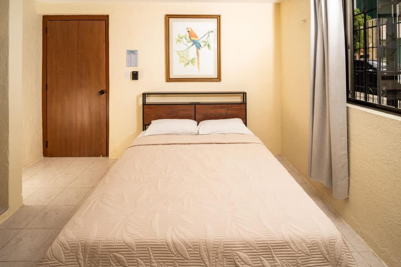 Casa Jurel Ideal Location In 2 Bedrooms Free Wifi And Kitchen Apartamento Cancún