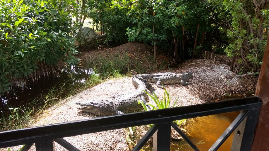 Maria Bonita Guest house Cancun