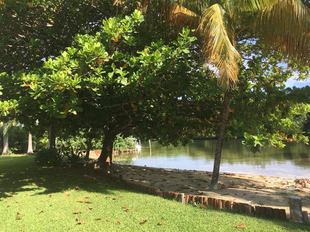 Casa Manglar Homestay Cancun