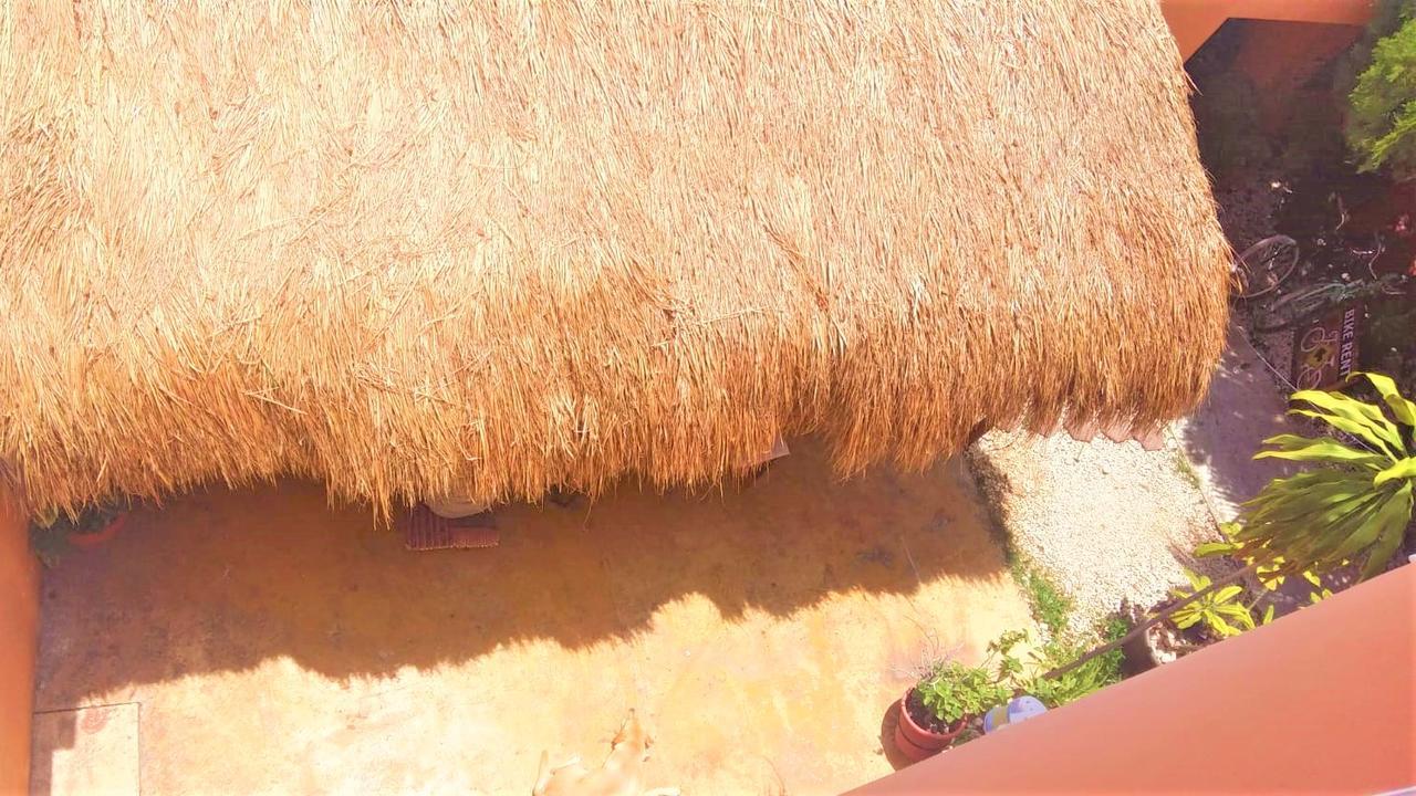 La Morena Cancun