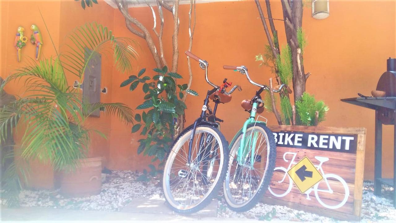 La Morena 2* Cancun