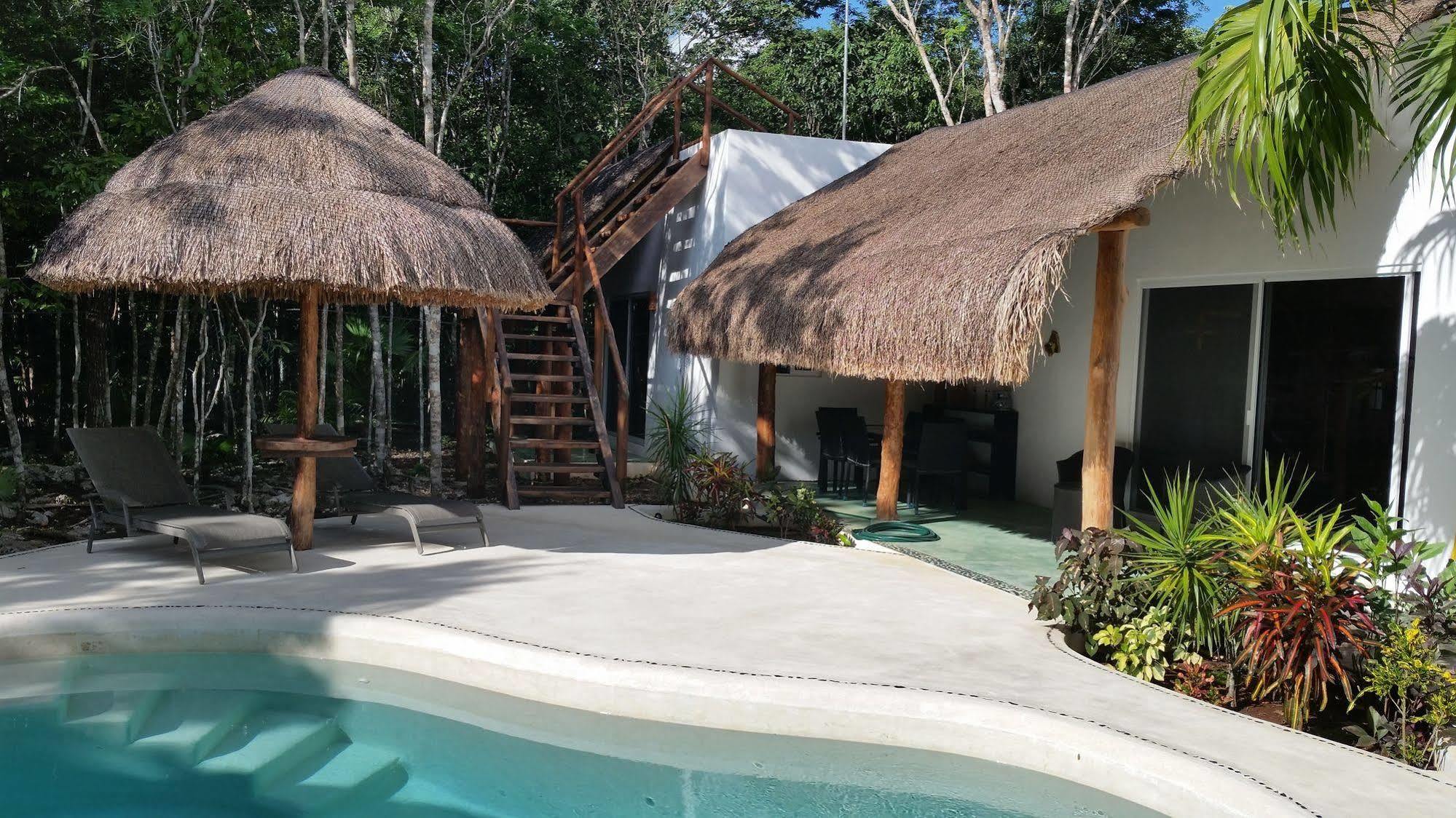 Jungle Dust Cancún