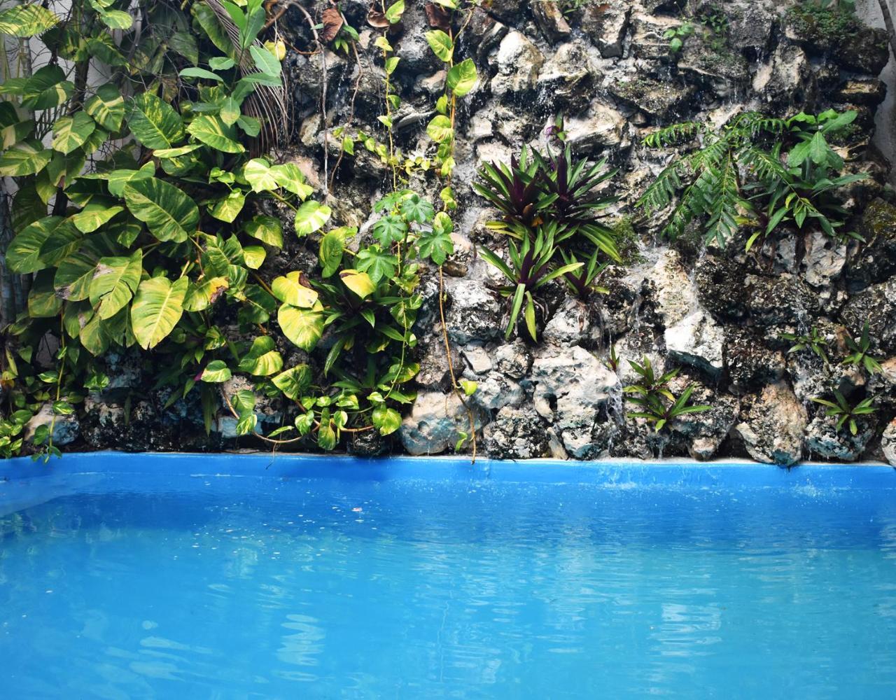 Guest house Casa Kimaya 2*