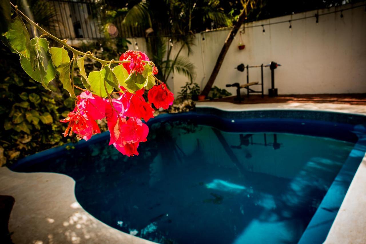 Casa Kimaya Guest house Cancun