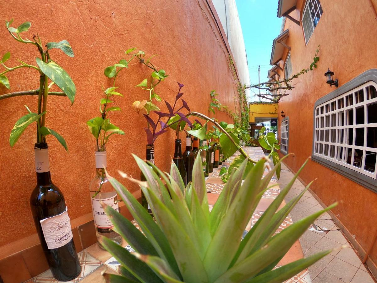 Agavero Hostel *