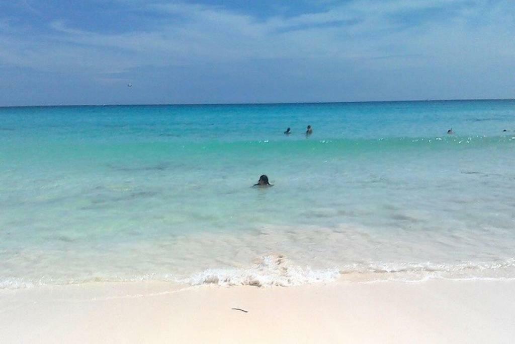 Remodeled Studio In Beachfront Condominium Apartment Cancún