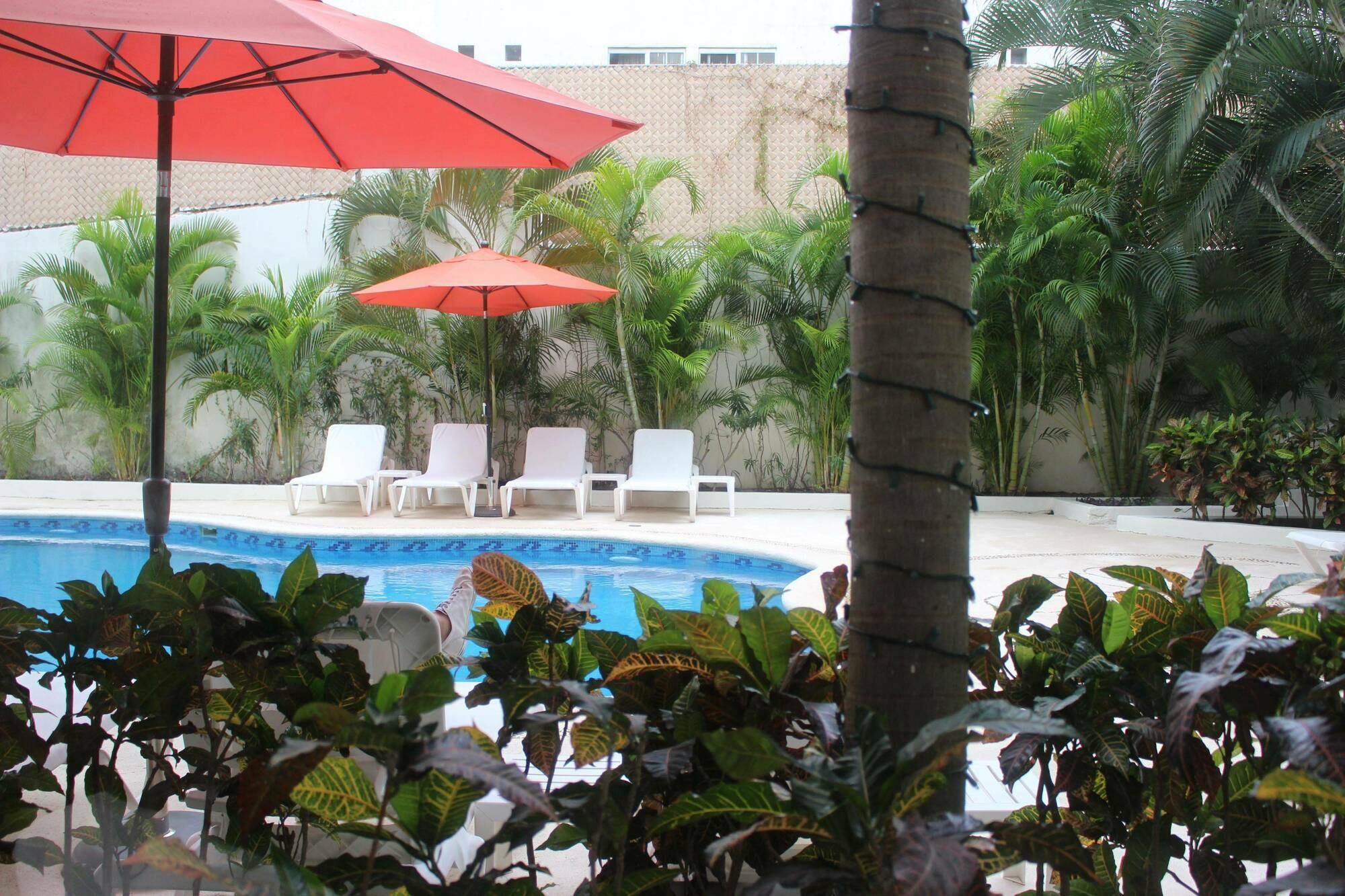 Adhara Express Cancun