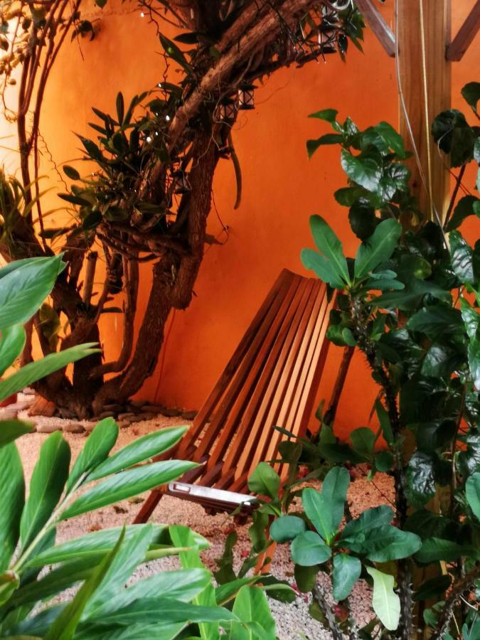 Casa Loritos Holiday home