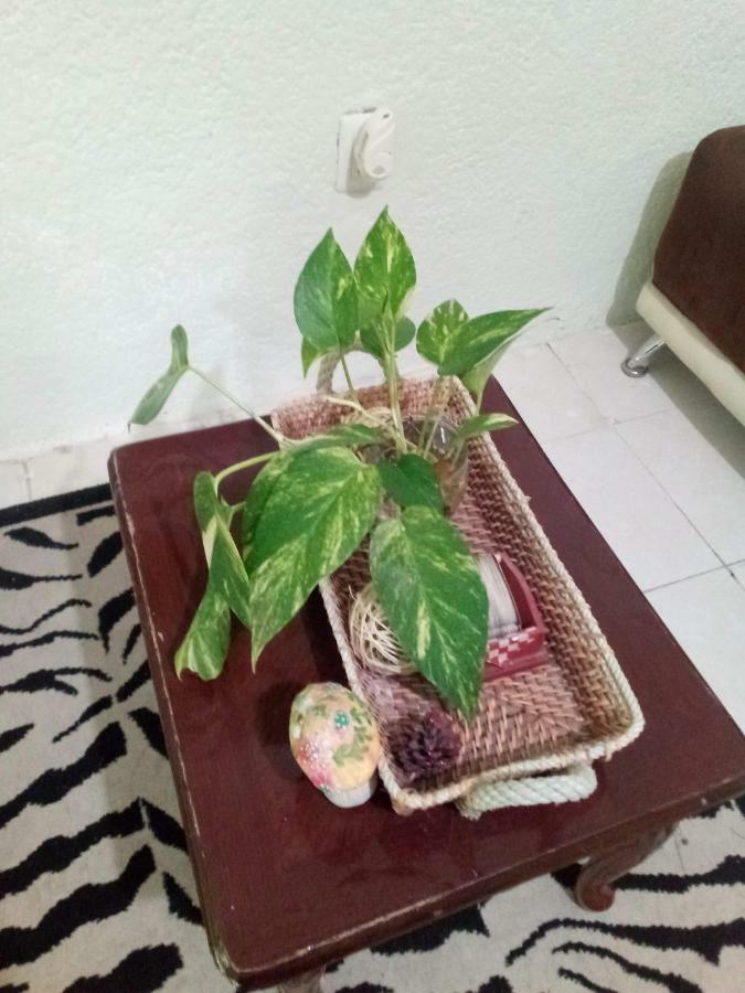 Apartment Departamento Caimito Cancun