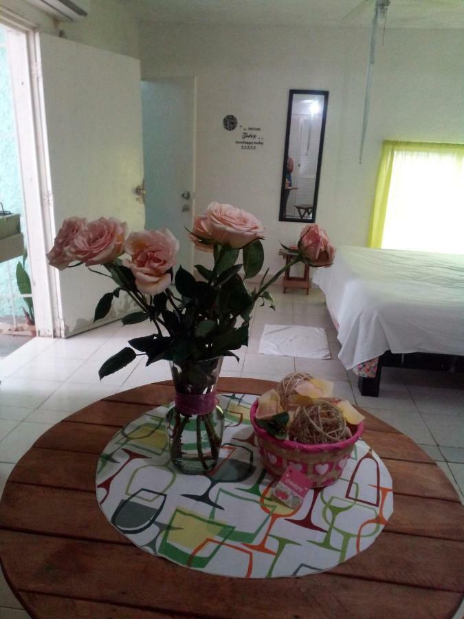 Apartment Departamento Caimito