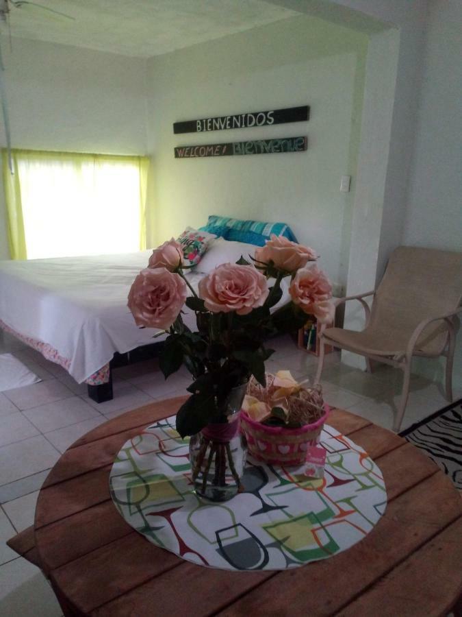 Departamento Caimito Apartment *