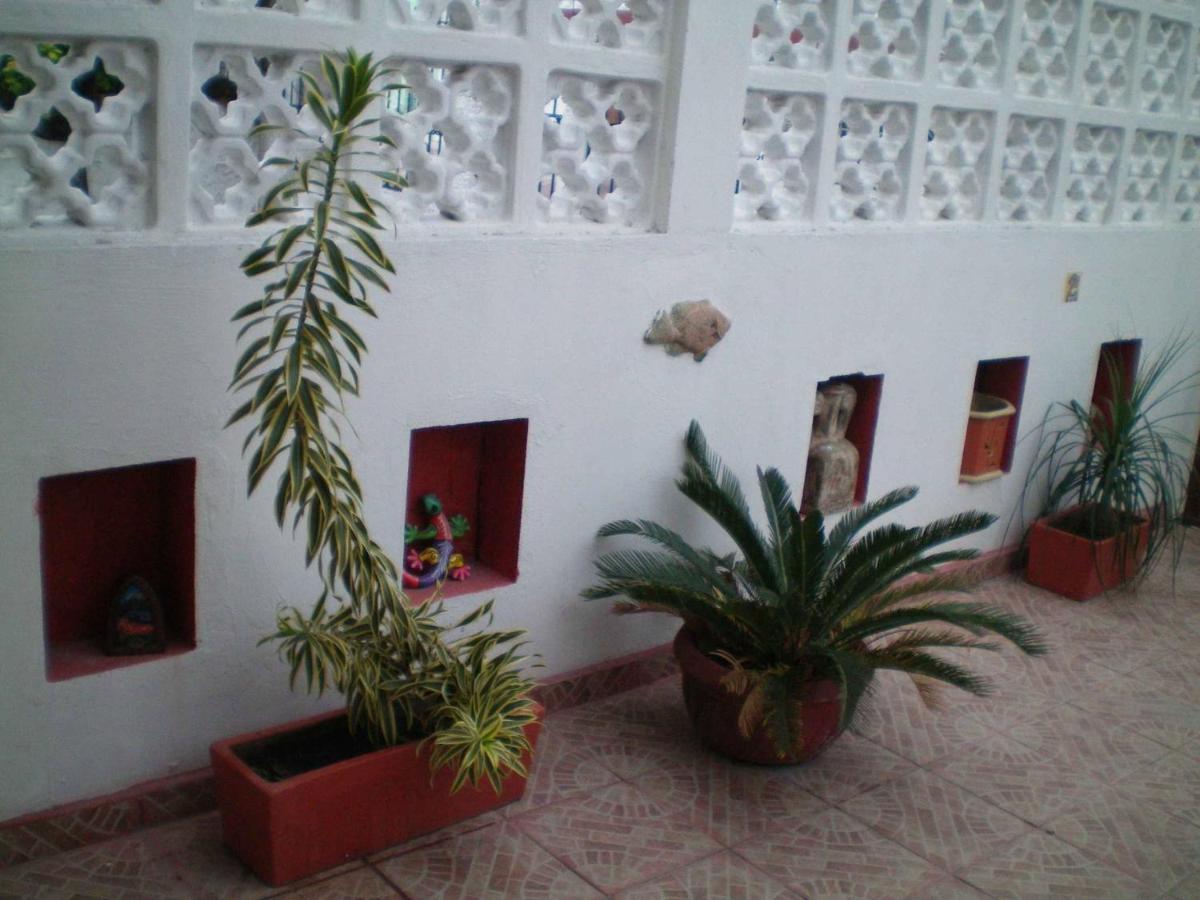 3 Near Ado Bus Terminal And 25 Min From/to Airport By Shuttle Gasthof Cancún