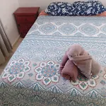 Apartamento Copan 7 Personas