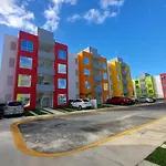 Dreams Of Arena In The Jungle Of Cancun