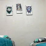 Dreams Of Arena In The Jungle Of Cancun